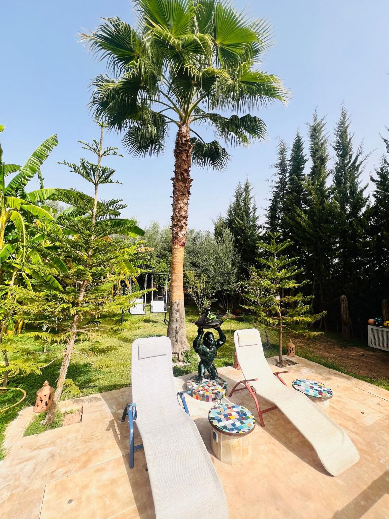 Ilafe Farmhouse, Villa Avec Piscine Chauffee Privee Et Jacuzzi Pour Familles 马拉喀什 外观 照片