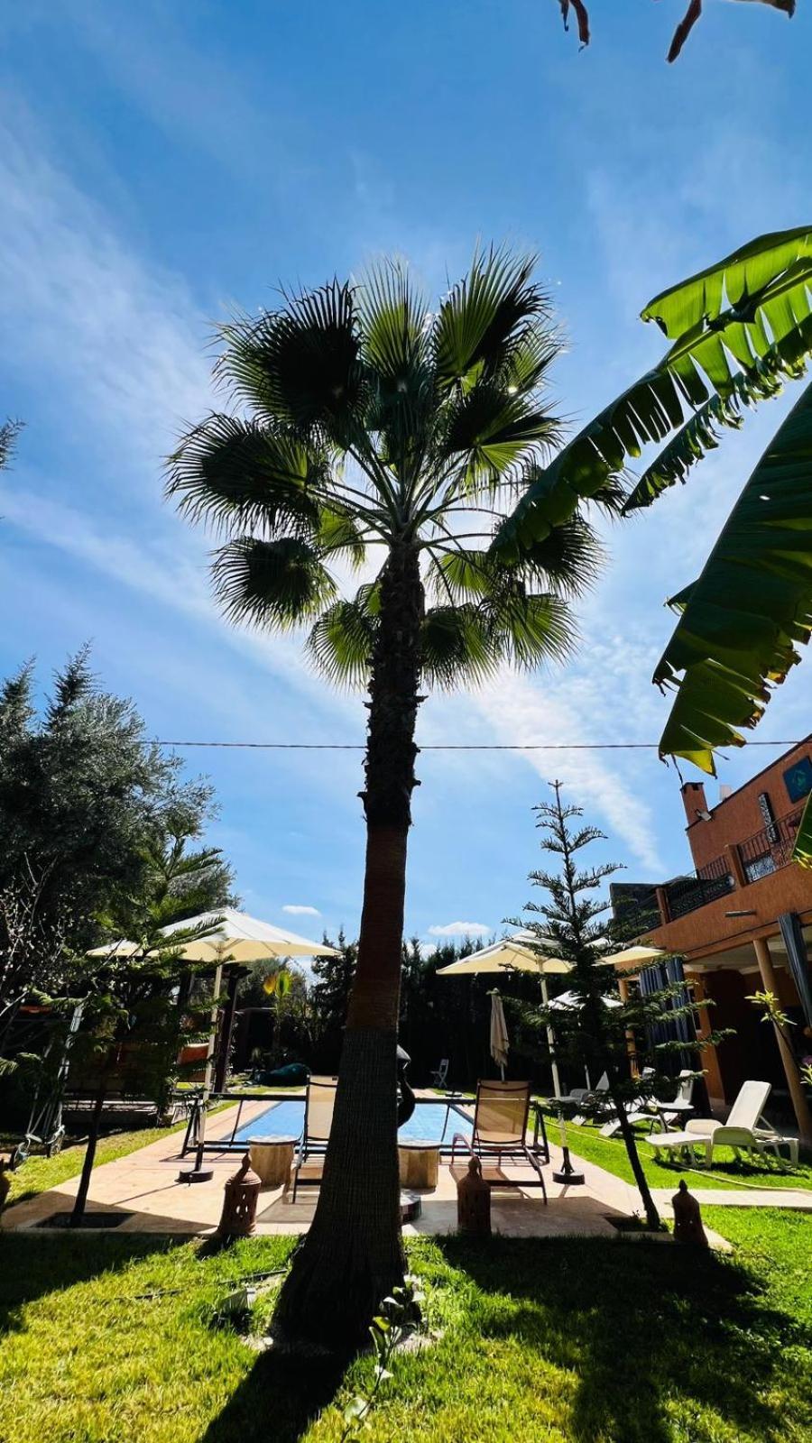Ilafe Farmhouse, Villa Avec Piscine Chauffee Privee Et Jacuzzi Pour Familles 马拉喀什 外观 照片